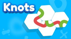 Knots Puzzle Game - Logic Puzzle