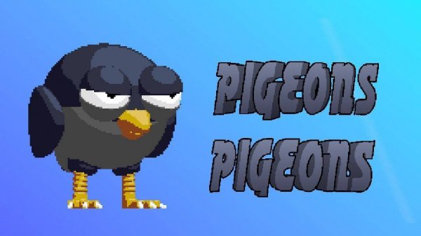 Pigeons City Defender