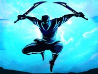 Shadow Ninja Warriors Action