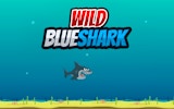 Wild Blueshark