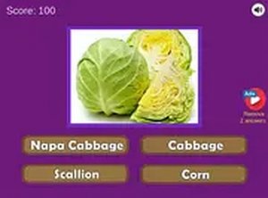 Guess the Vegetables Quiz Online Game - Puzzle Game