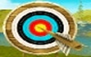 Aim Point Arena